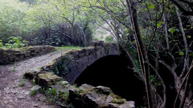 Puente de los Palominos.