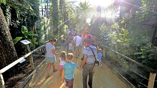 Un grupo de personas durante el paseo guiado por el Zoobotánico.